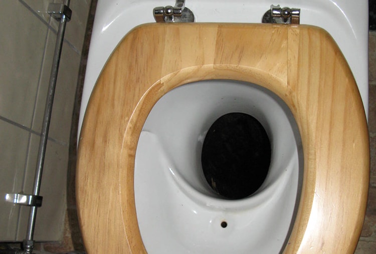 Toilets Around The World A Global Toilet Guide Are Toilets Different